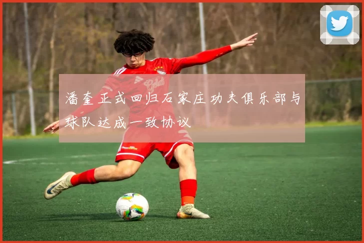 潘奎正式回归石家庄功夫俱乐部与球队达成一致协议